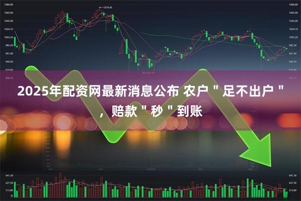 2025年配资网最新消息公布 农户＂足不出户＂，赔款＂秒＂到账