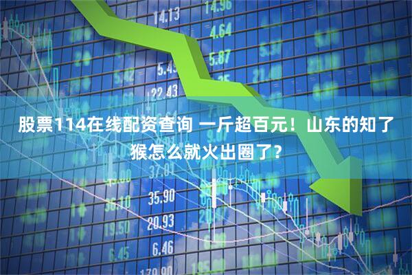 股票114在线配资查询 一斤超百元！山东的知了猴怎么就火出圈了？