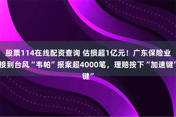 股票114在线配资查询 估损超1亿元！广东保险业接到台风“韦帕”报案超4000笔，理赔按下“加速键”